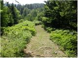 Globasnica / Globasnitz - Veška planina / Wackendorfer Alm